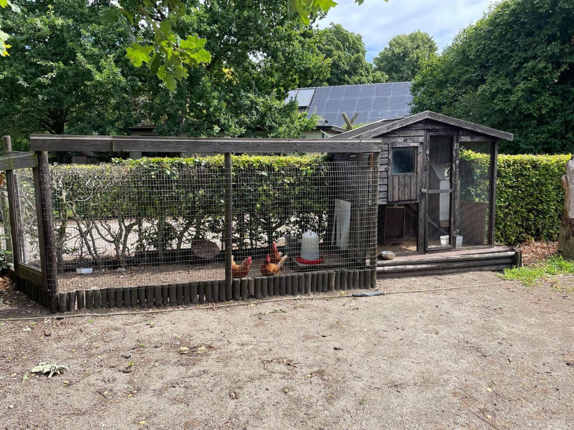 Completely Renovated Back Part Of A Farm Villa Uden Exterior foto